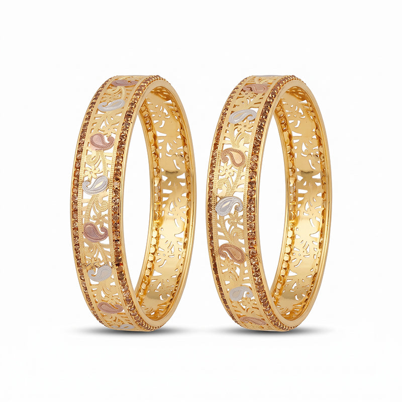 Traditional Micro Gold Plated Floral Jaali Bangles with CZ Border | Tri-Tone Designer Kada Set for Women (Set of 2) - 5887-89