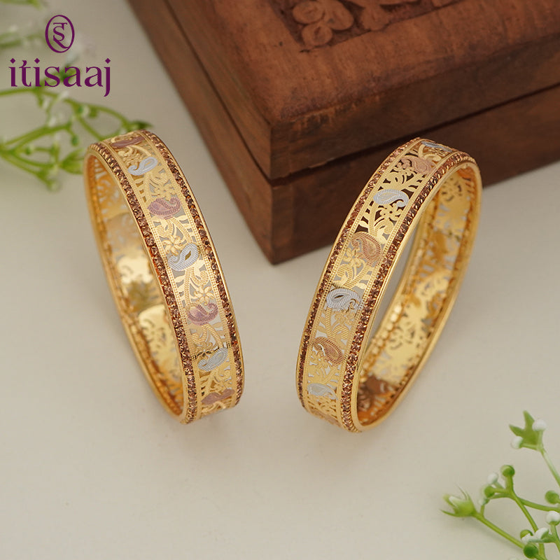 Traditional Micro Gold Plated Floral Jaali Bangles with CZ Border | Tri-Tone Designer Kada Set for Women (Set of 2) - 5887-89