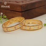 Traditional Micro Gold Plated Floral Jaali Bangles with CZ Border | Tri-Tone Designer Kada Set for Women (Set of 2) - 5887-89