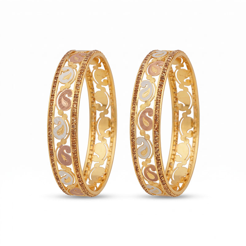 Traditional Micro Gold Plated Floral Jaali Bangles with CZ Border | Tri-Tone Designer Kada Set for Women (Set of 2) - 5890-92