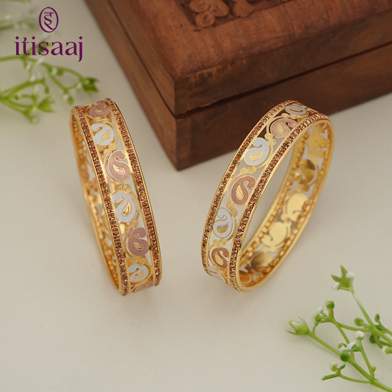 Traditional Micro Gold Plated Floral Jaali Bangles with CZ Border | Tri-Tone Designer Kada Set for Women (Set of 2) - 5890-92