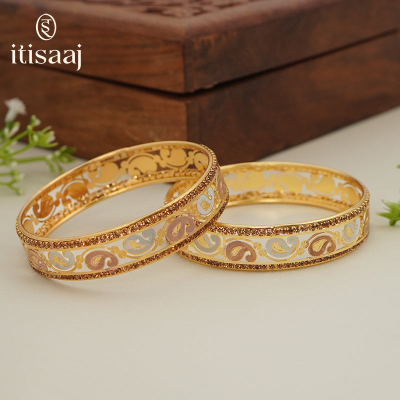 Traditional Micro Gold Plated Floral Jaali Bangles with CZ Border | Tri-Tone Designer Kada Set for Women (Set of 2) - 5890-92